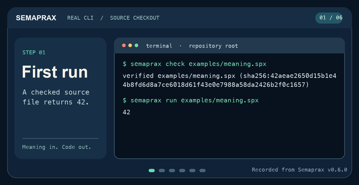 Terminal still showing Semaprax check and run output