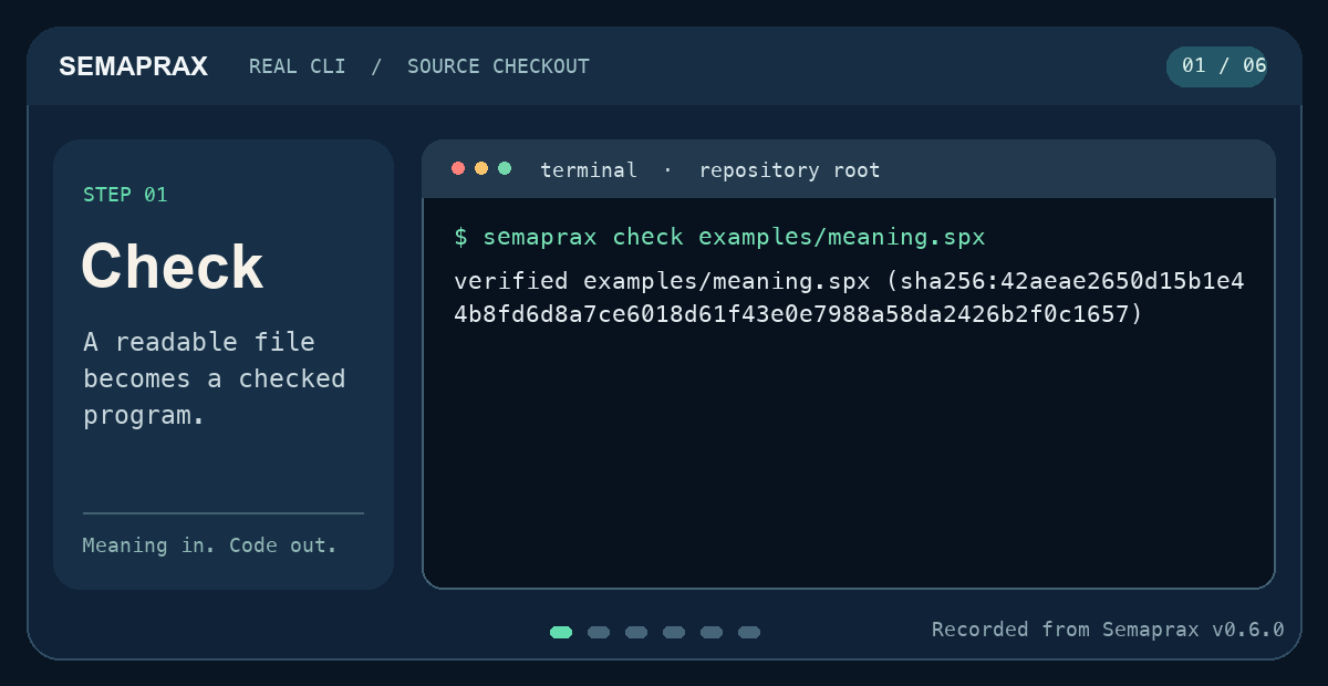 Animated terminal walkthrough: check, run, query, test, build, and verify